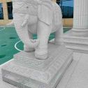 辽源 白麻花岗岩动物异形石雕-大象