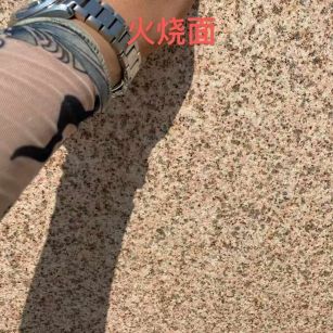 辽源黄金麻火烧面